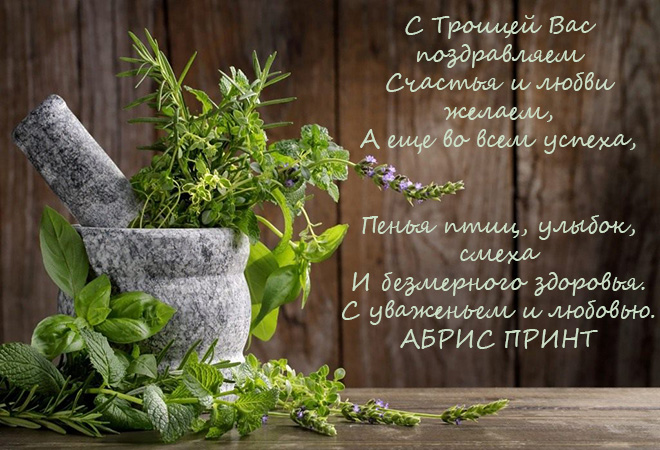 troica_2019.jpg troica_2019.jpg