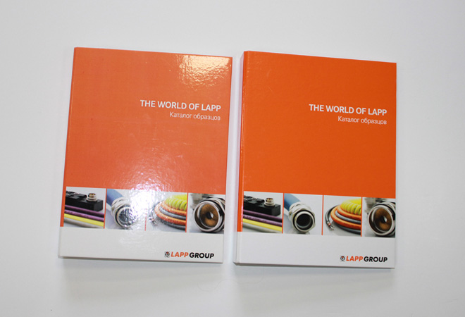 папки сегрегатор.jpg