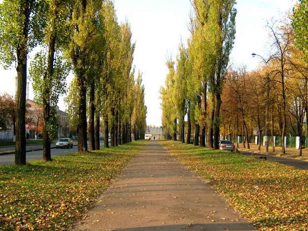 бульвар вацлава гавела.jpg